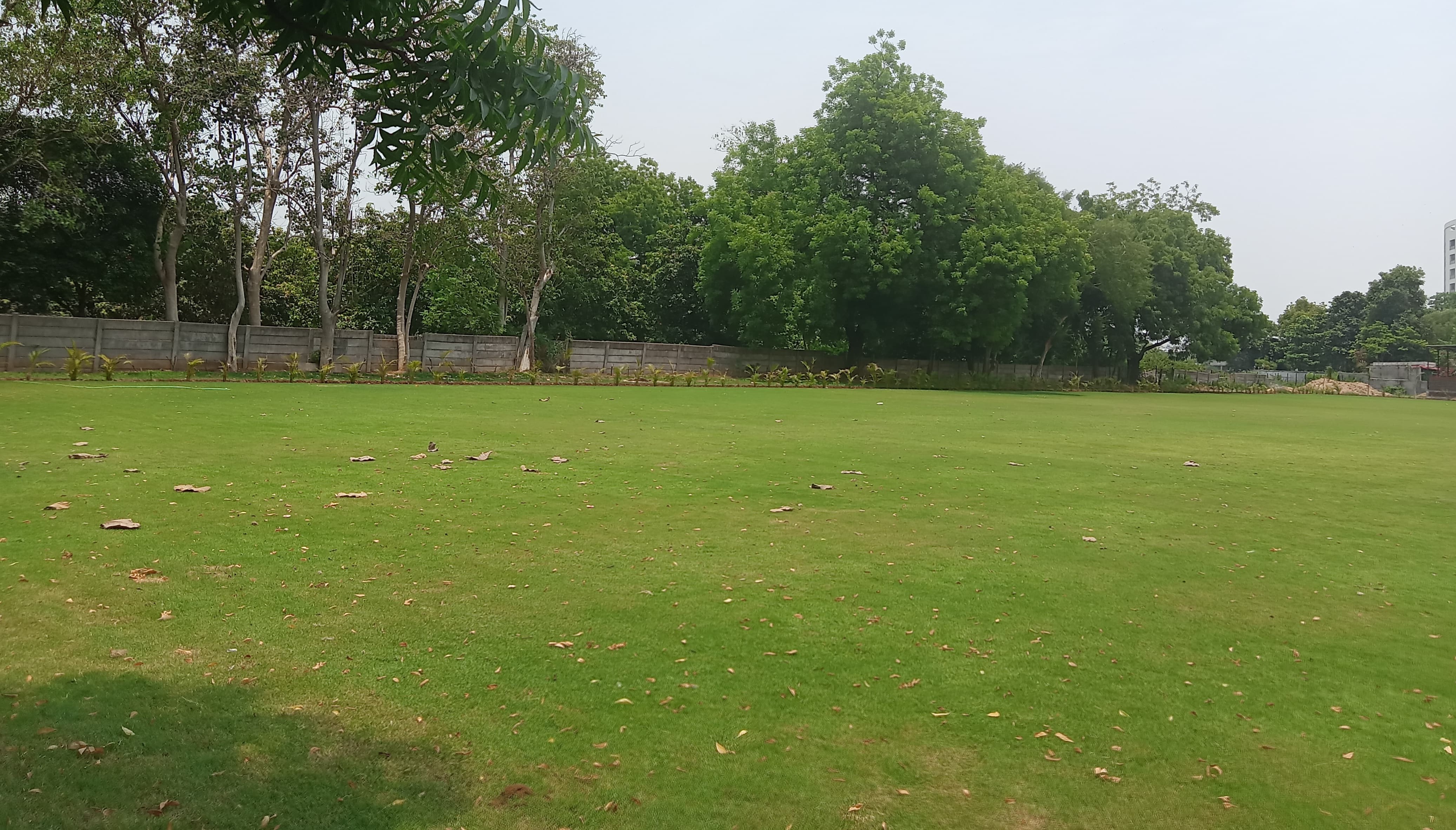 AARUSH LAWN
